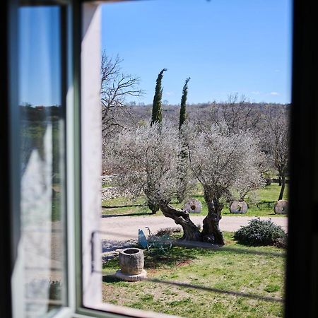 Winery Cuj Bed & Breakfast Vilanija Luaran gambar