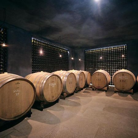 Winery Cuj Bed & Breakfast Vilanija Luaran gambar